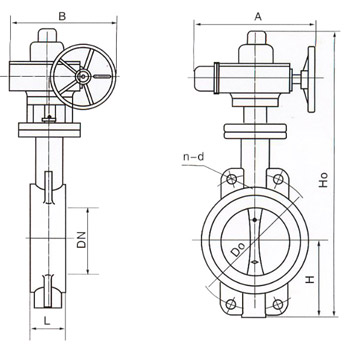 D971X電動(dòng)對(duì)夾式軟密封蝶閥結(jié)構(gòu)圖